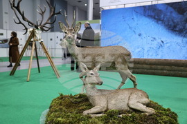 Пловдив - Международно изложение "Природа. Лов. Риболов" 2026 - откриване