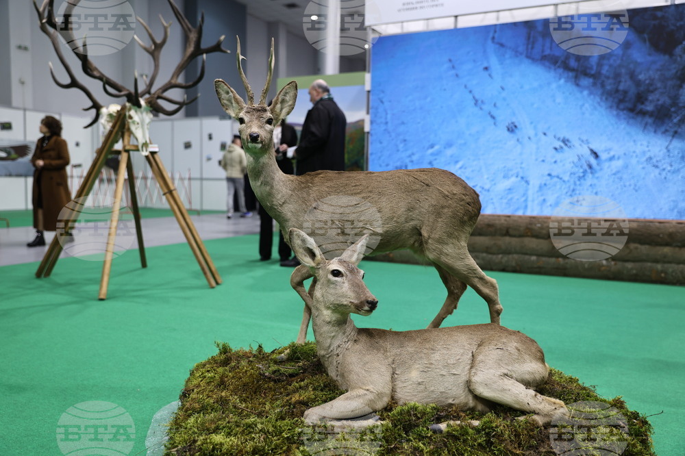 Пловдив - Международно изложение "Природа. Лов. Риболов" 2026 - откриване