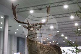 Пловдив - Международно изложение "Природа. Лов. Риболов" 2026 - откриване