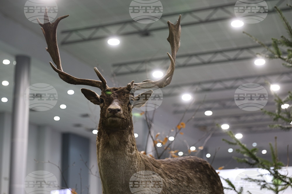 Пловдив - Международно изложение "Природа. Лов. Риболов" 2026 - откриване