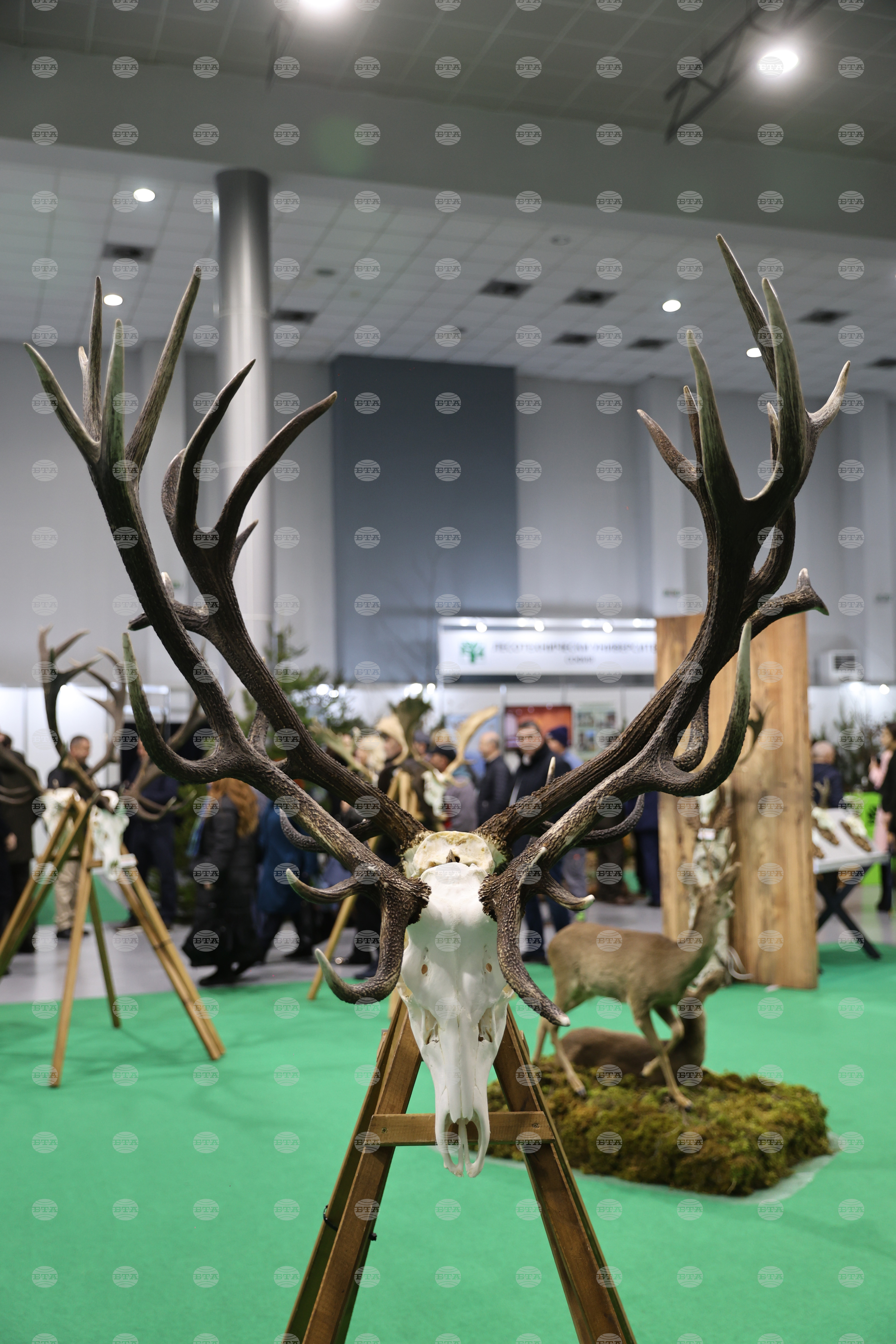 Пловдив - Международно изложение "Природа. Лов. Риболов" 2026 - откриване