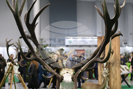 Пловдив - Международно изложение "Природа. Лов. Риболов" 2026 - откриване