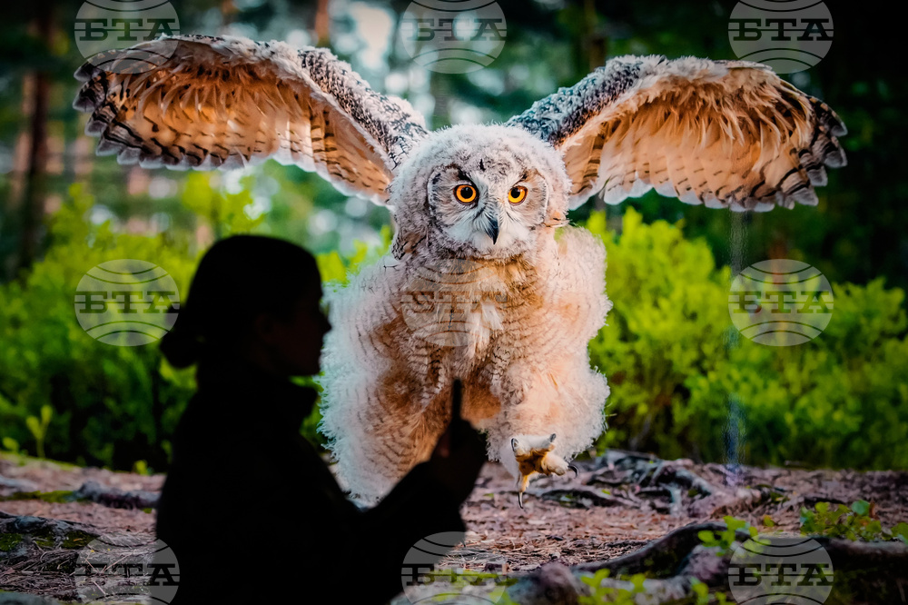 Germany Gasometer Forest Exhibition