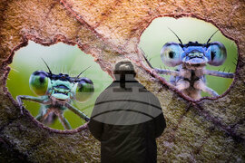 Germany Gasometer Forest Exhibition