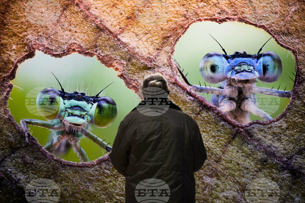 Germany Gasometer Forest Exhibition