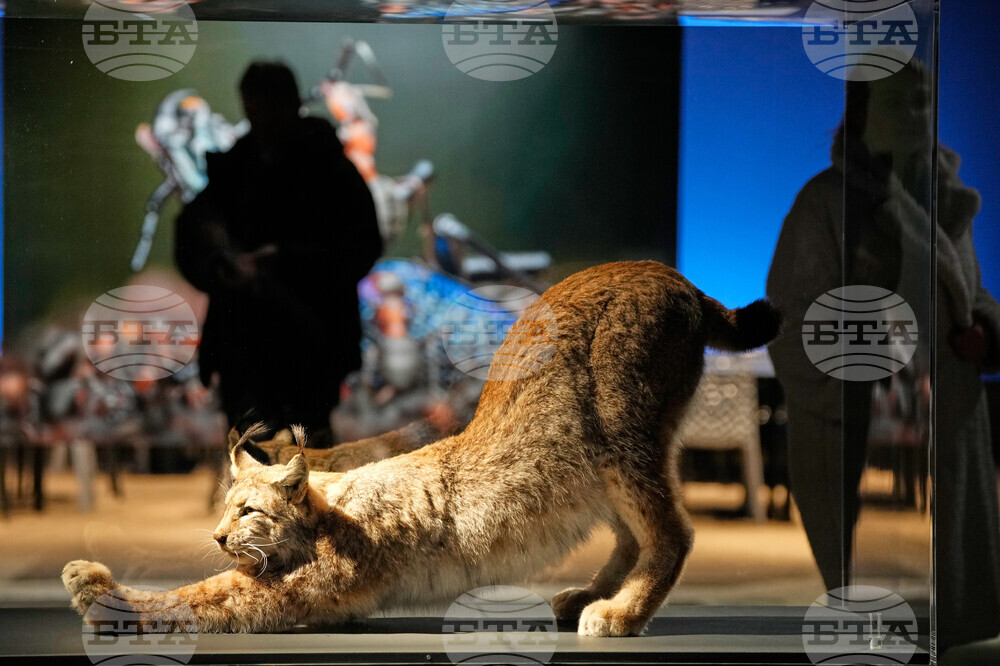 Germany Gasometer Forest Exhibition