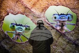 APTOPIX Germany Gasometer Forest Exhibition