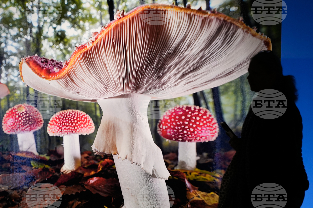 Germany Gasometer Forest Exhibition