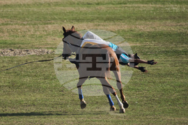 Nepal Horse Festival