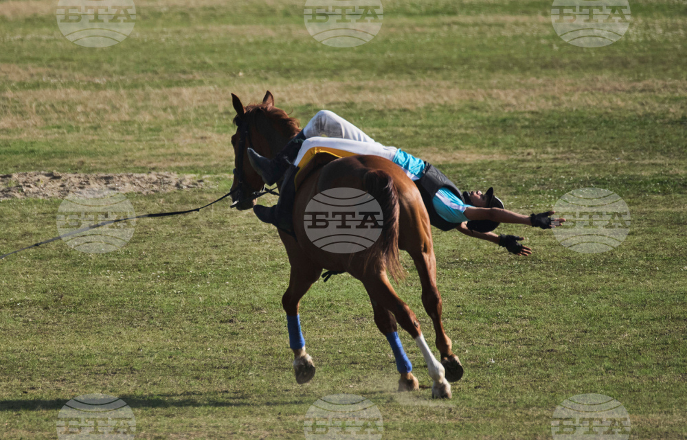 Nepal Horse Festival