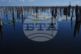 Climate Florida Dam Removal