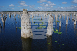 Climate Florida Dam Removal