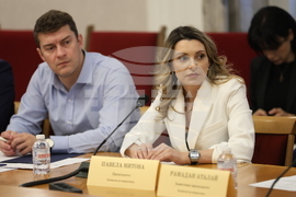 Комисия по енергетика - заседание - Павела Митова