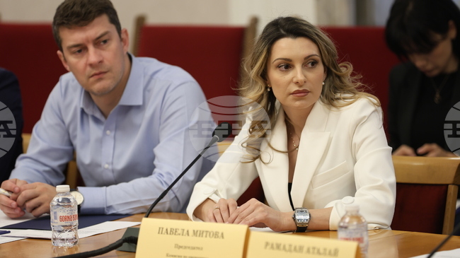 Parliamentary Committee Mandates Government to Ask for Temporary Suspension of EU Emissions Trading Scheme