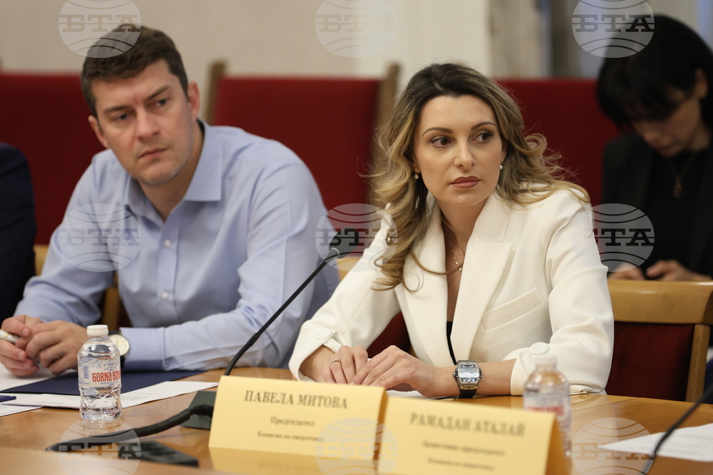 Комисия по енергетика - заседание - Павела Митова