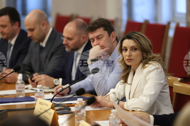 Комисията по енергетика в НС прие проекторешение за даване на мандат на служебното правителство да заяви позиция за необходимостта от временно прекъсване на търговията с емисии