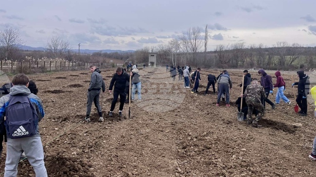 Община Ловеч започна засаждане на плодни дръвчета за осигуряване на земеделска продукция за нуждите на детските заведения