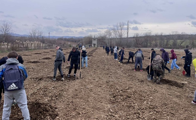 Община Ловеч започна засаждане на плодни дръвчета за осигуряване на земеделска продукция за нуждите на детските заведения