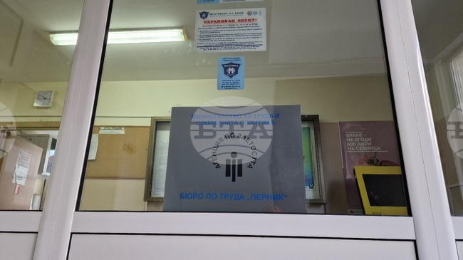 В Перник има свободни работни места за специалисти с висше образование в сферата на образованието, финансите, здравеопазването и други