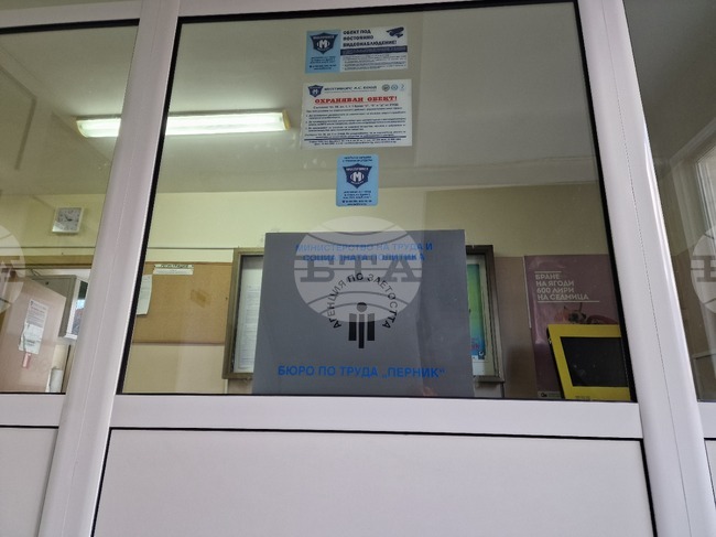 В Перник има свободни работни места за специалисти с висше образование в сферата на образованието, финансите, здравеопазването и други