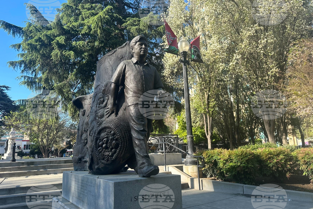 Chavez Allegation Reactions