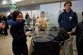 Greece Mideast Pet Evacuation