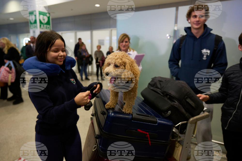 Greece Mideast Pet Evacuation