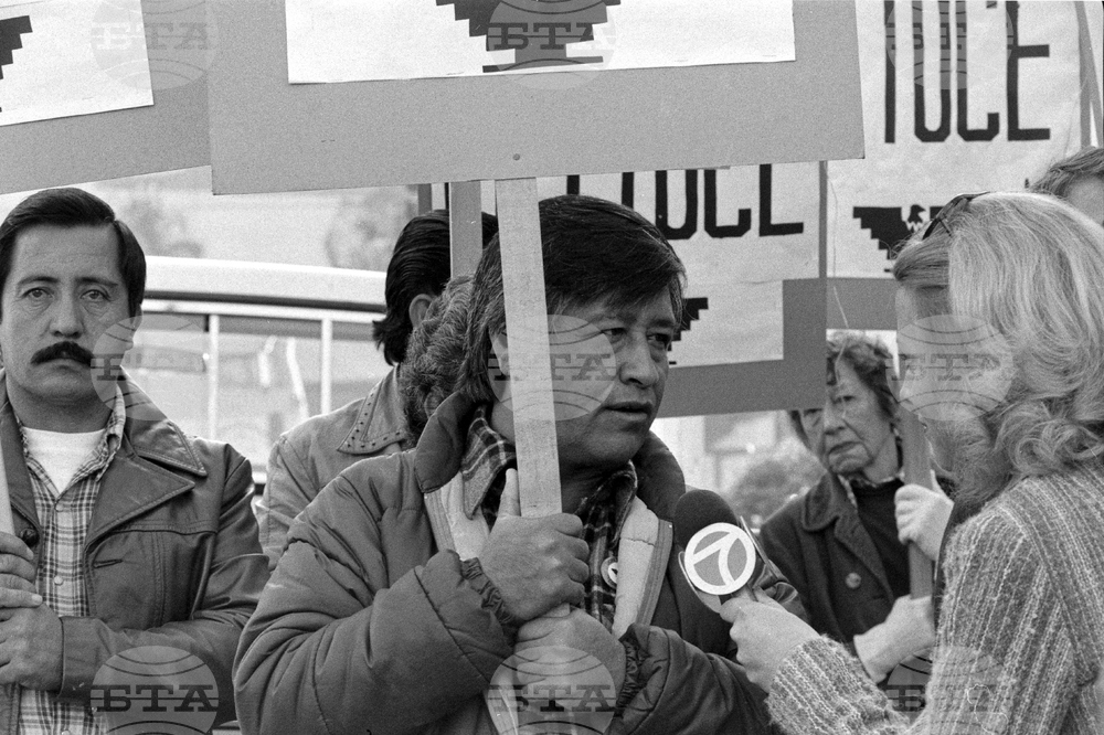 César Chavez Allegation