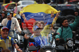 WBC Venezuela Baseball