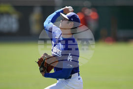 Giants Dodgers Spring Baseball