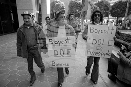 César Chavez Allegations