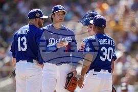 Giants Dodgers Spring Baseball