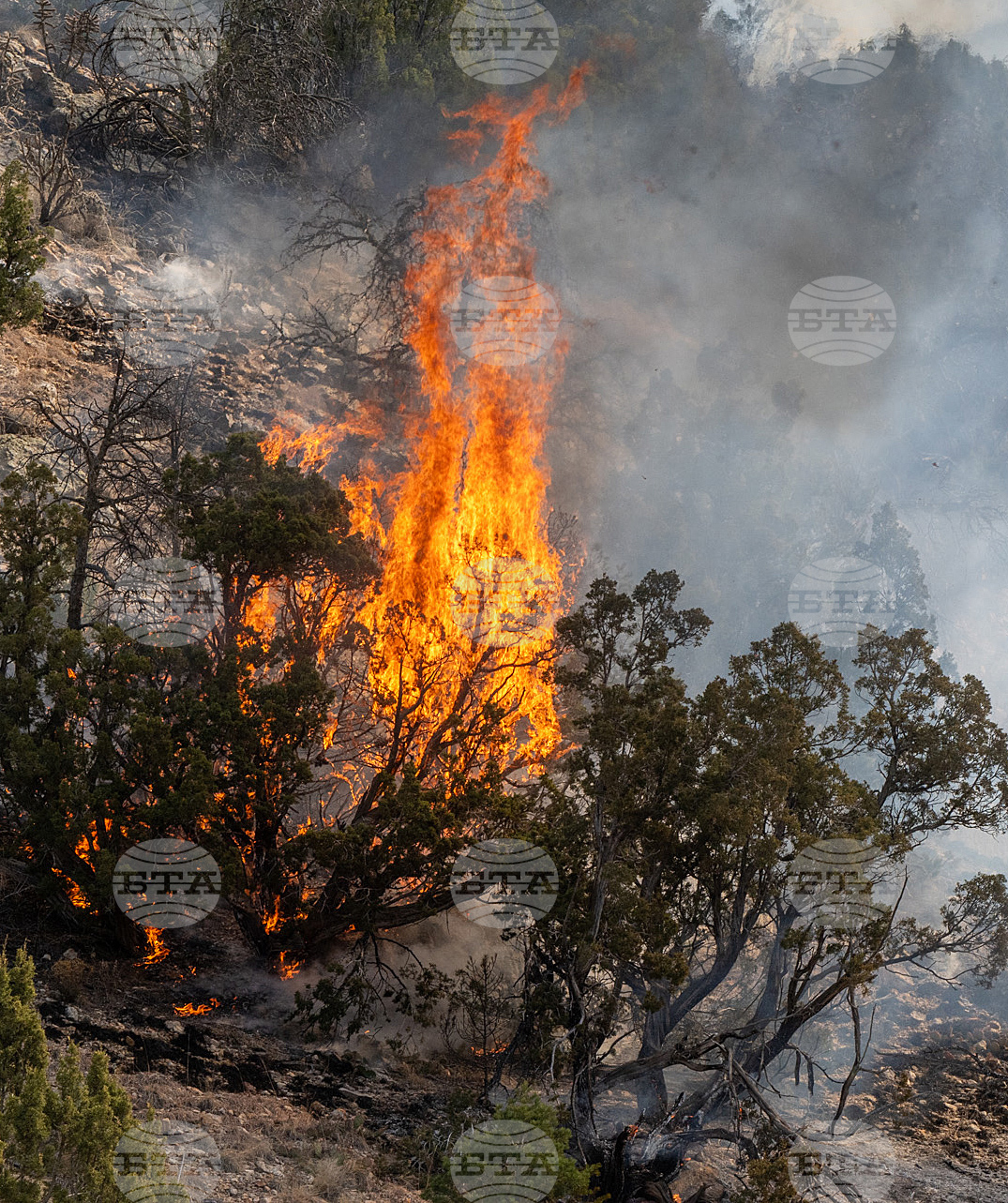 Colorado Wildfire