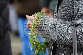 Бургас - Цветница - Връбница