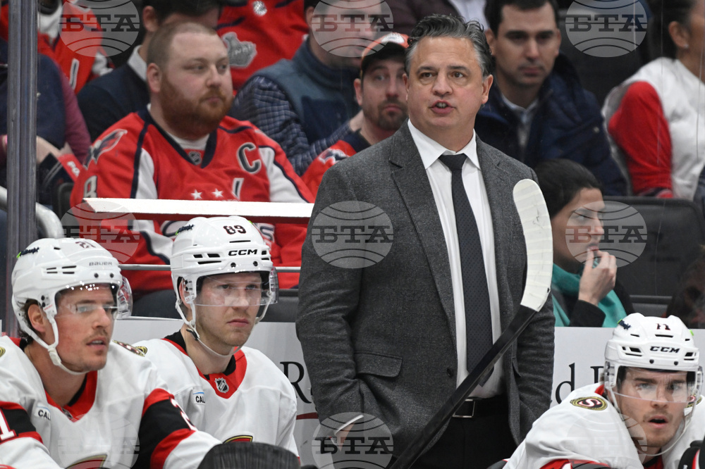 Senators Capitals Hockey