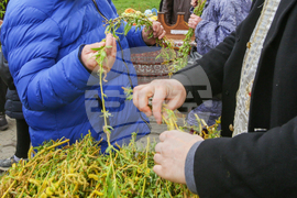 Цветница - храм "Рождество Христово"