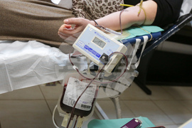 Кръводаряване - Цветница - храм "Рождество Христово"