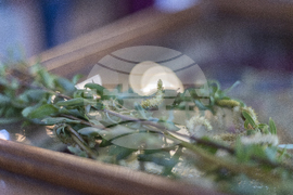 Габрово - Цветница