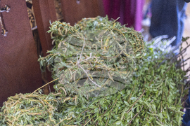 Габрово - Цветница