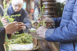 Габрово - Цветница