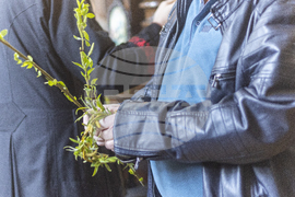 Габрово - Цветница