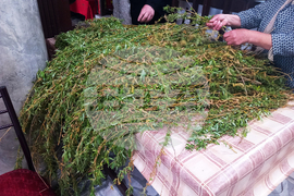 Габрово - Цветница