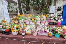 Ловеч - Цветница - ритуал „По вода“