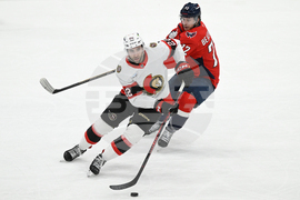 Senators Capitals Hockey
