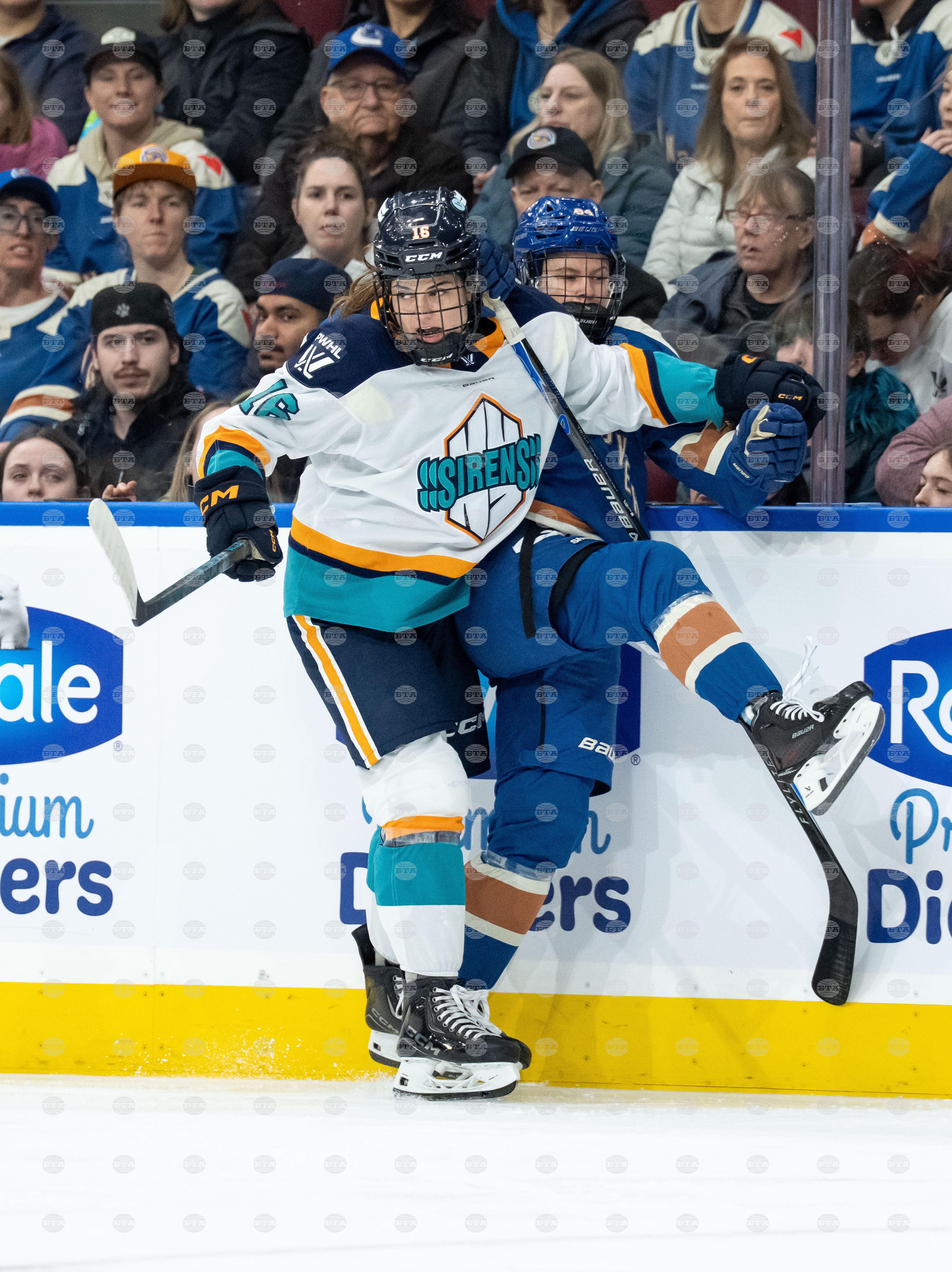 PWHL Sirens Goldeneyes Hockey