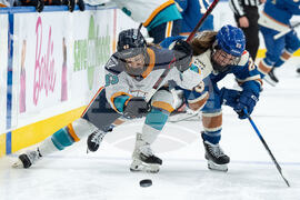 PWHL Sirens Goldeneyes Hockey