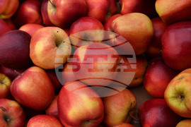 Разград - благотворителност - рокери