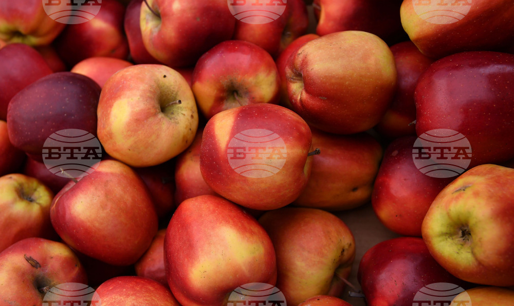 Разград - благотворителност - рокери