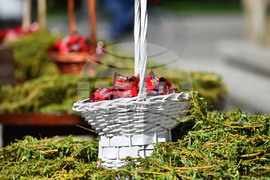 Разград - Цветница