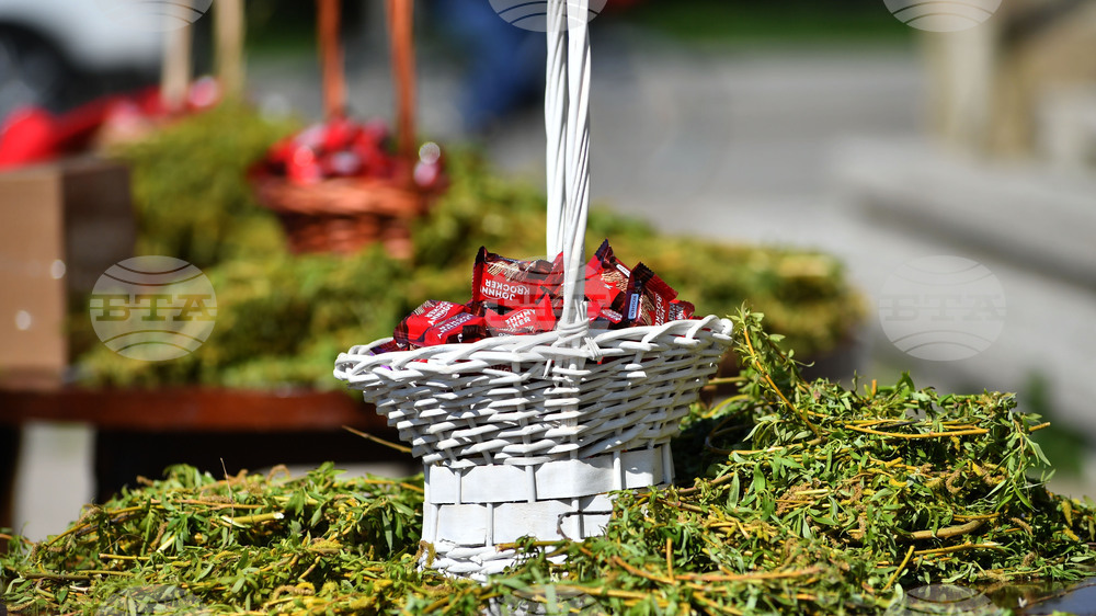 Разград - Цветница